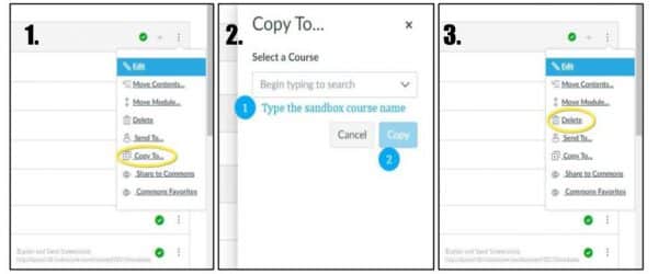 Image of steps to copy and delete modules