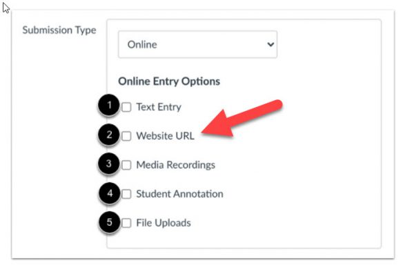 location of website URL option