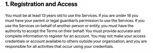 Terms of service age clause