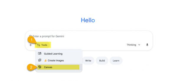 Location of Gemini Tools and Canvas